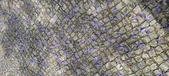 Enlarge photo 146