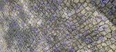 Enlarge photo 142