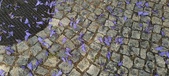 Enlarge photo 136