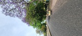 Enlarge photo 137