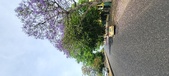 Enlarge photo 138