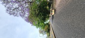 Enlarge photo 134
