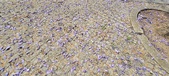 Enlarge photo 132
