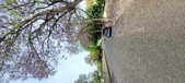 Enlarge photo 131