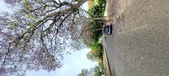 Enlarge photo 127