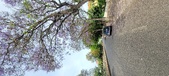 Enlarge photo 128