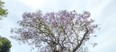 Enlarge photo 129