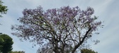 Enlarge photo 130