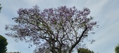 Enlarge photo 126
