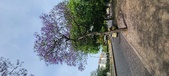 Enlarge photo 125