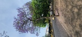 Enlarge photo 124