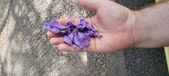 Enlarge photo 119