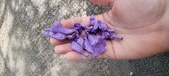 Enlarge photo 121