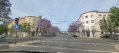 Enlarge photo 118