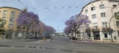 Enlarge photo 117