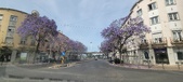 Enlarge photo 116