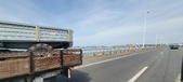 Enlarge photo 40