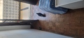 Enlarge photo 320