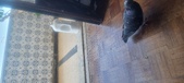 Enlarge photo 316