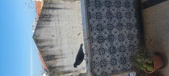 Enlarge photo 315
