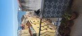 Enlarge photo 340