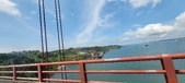 Enlarge photo 302