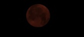 Enlarge photo 45