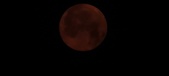 Enlarge photo 44