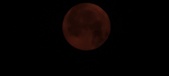 Enlarge photo 42