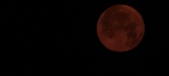 Enlarge photo 43