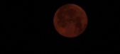 Enlarge photo 40