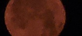 Enlarge photo 39