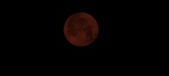 Enlarge photo 38
