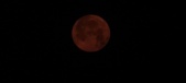 Enlarge photo 37