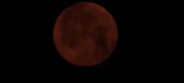 Enlarge photo 34