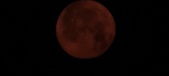 Enlarge photo 35
