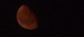 Enlarge photo 93