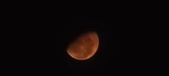 Enlarge photo 116