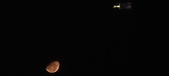 Enlarge photo 133