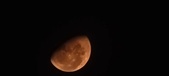 Enlarge photo 141