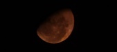 Enlarge photo 142
