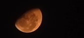 Enlarge photo 147