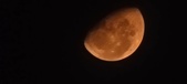 Enlarge photo 148