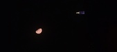 Enlarge photo 151