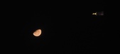 Enlarge photo 173