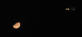 Enlarge photo 175