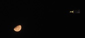 Enlarge photo 178