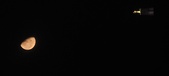 Enlarge photo 184