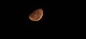 Enlarge photo 186