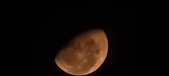 Enlarge photo 189